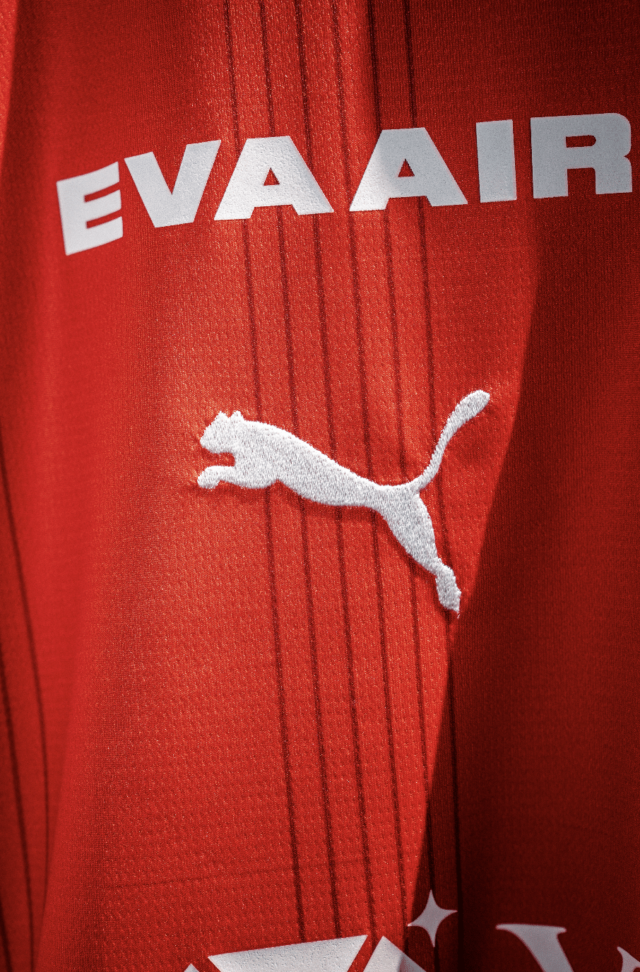 maillot-stade-de-reims-domicile-2024-2025-puma-4