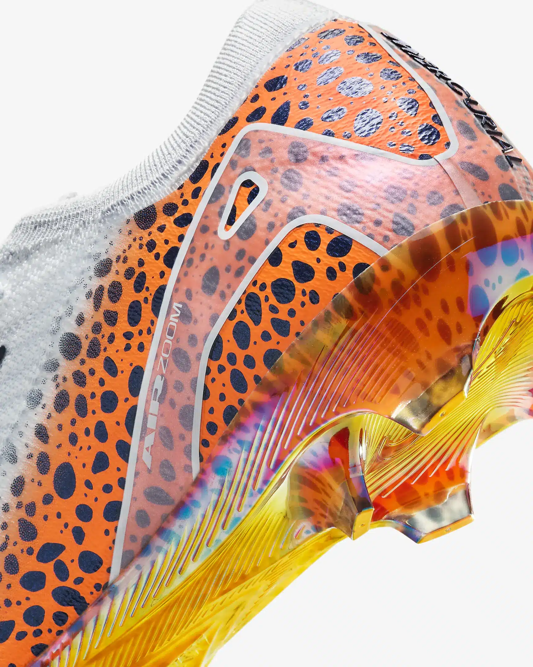 motif safari