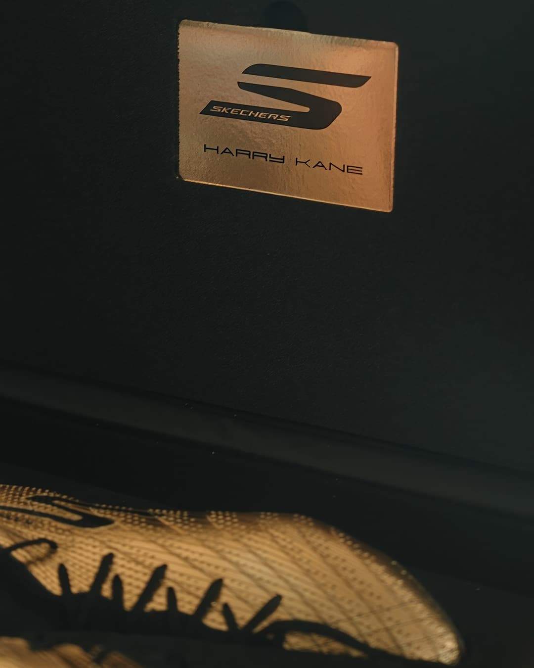 crampons harry kane skechers or