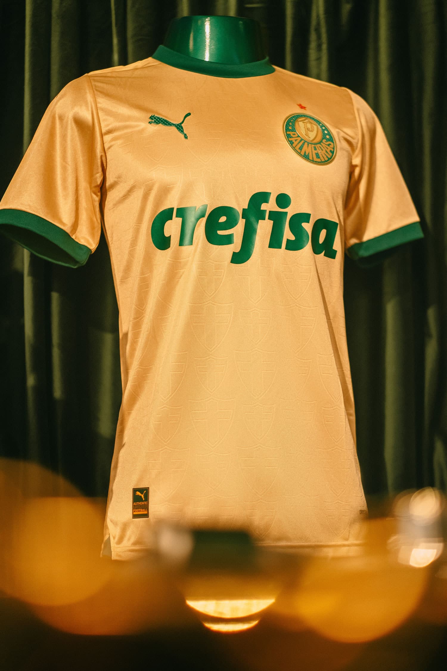 maillot palmeiras third 2024 2025 puma 1