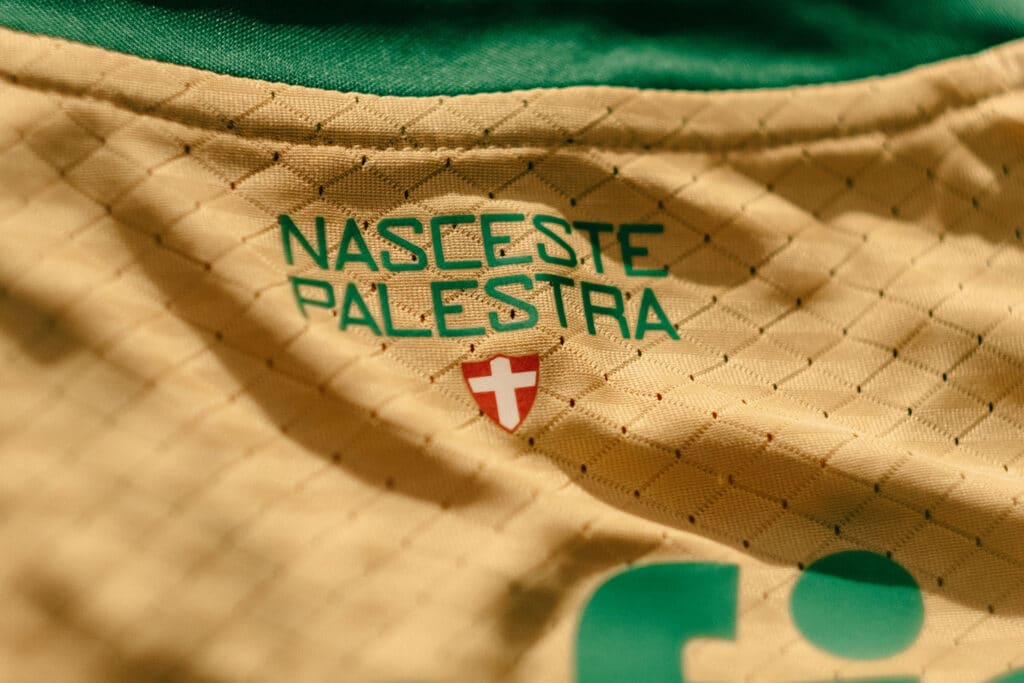 maillot palmeiras third 2024 2025 puma 1