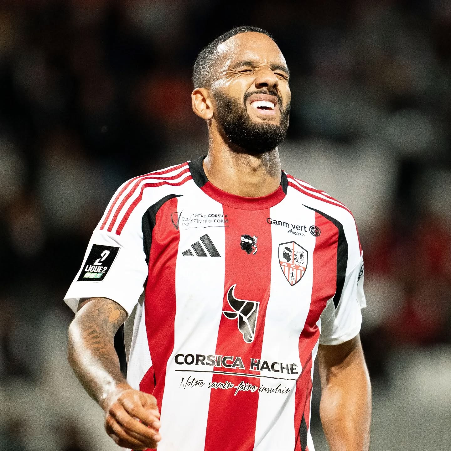 maillot ajaccio 2024 2025 différents sponsors adidas