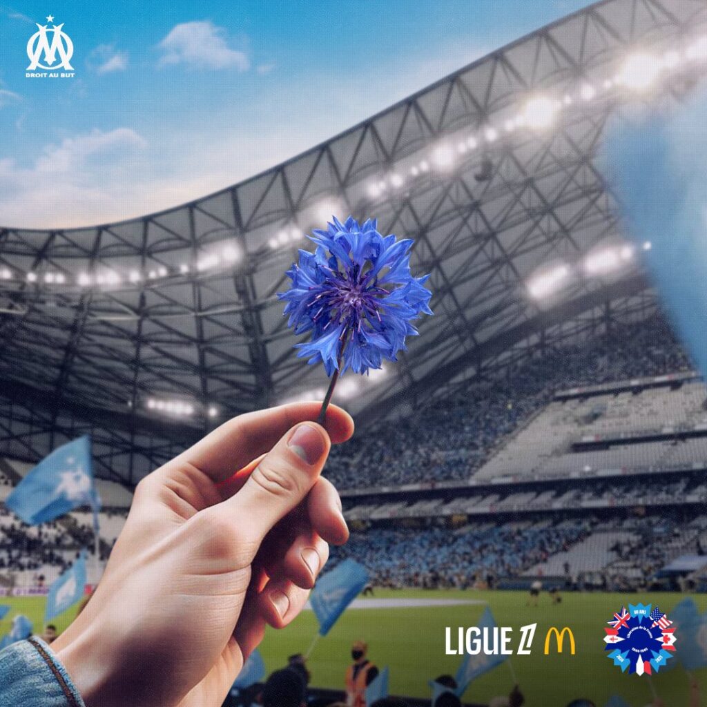 bleuet ligue 1 maillot