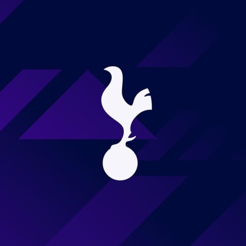Image de l'article Tottenham change (légèrement) de logo