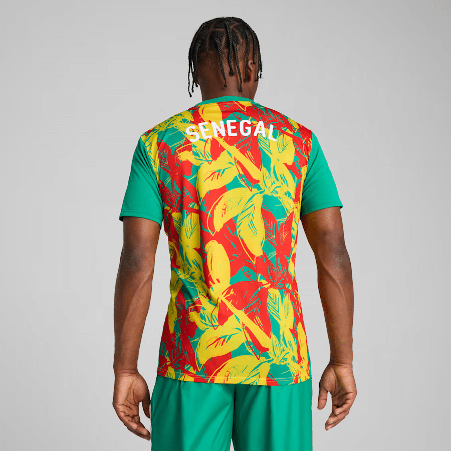 maillot pre match puma selection afrique 2025