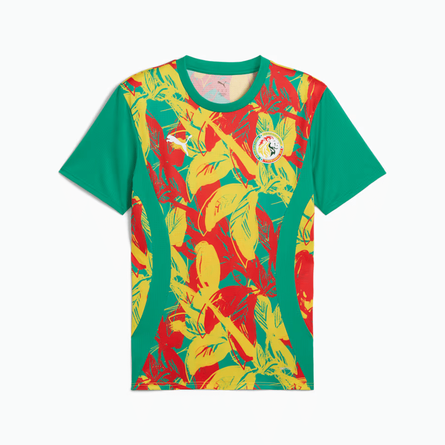 maillot pre match puma selection afrique 2025