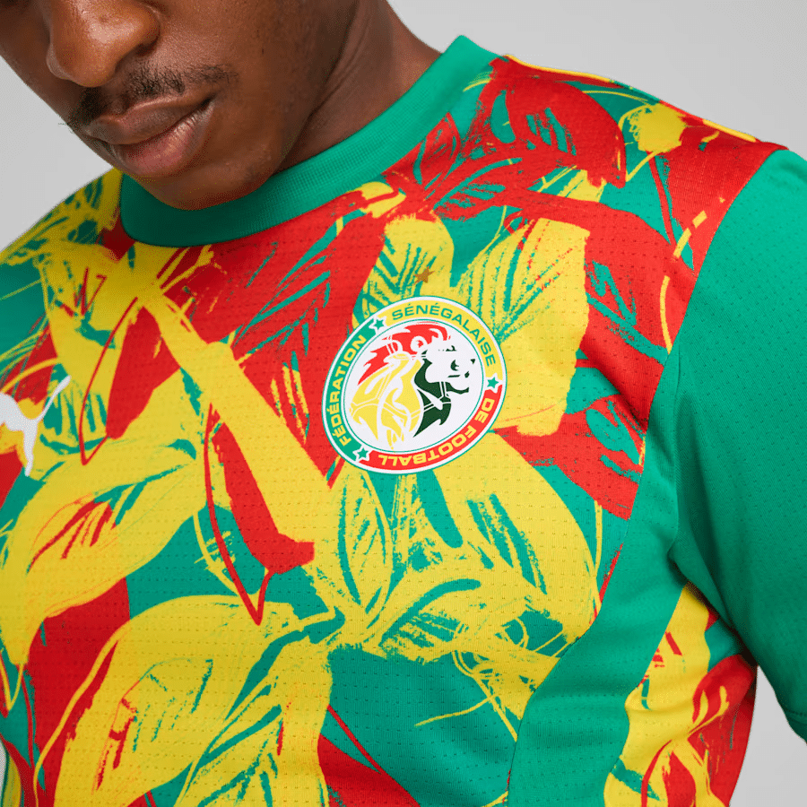 maillot pre match puma selection afrique 2025