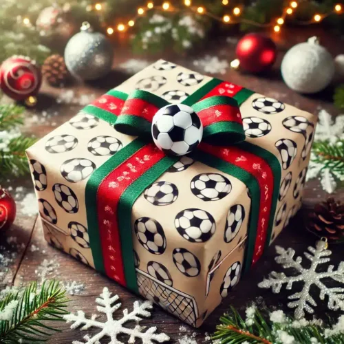 Image de l'article Quel cadeau acheter en dernière minute pour un footballeur ?