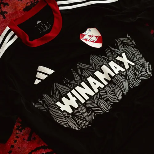 Image de l'article Quand la cigogne inspire le nouveau maillot third de Strasbourg