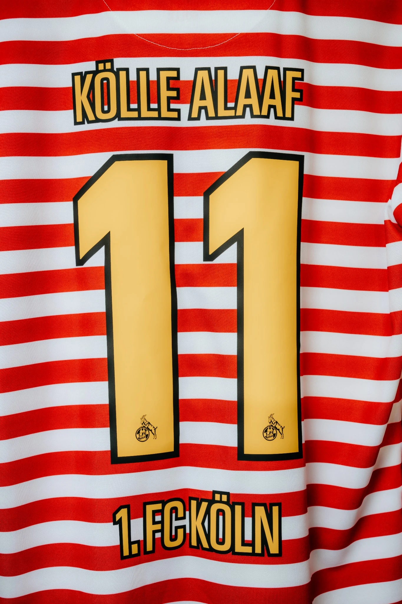 maillot cologne karneval hummel