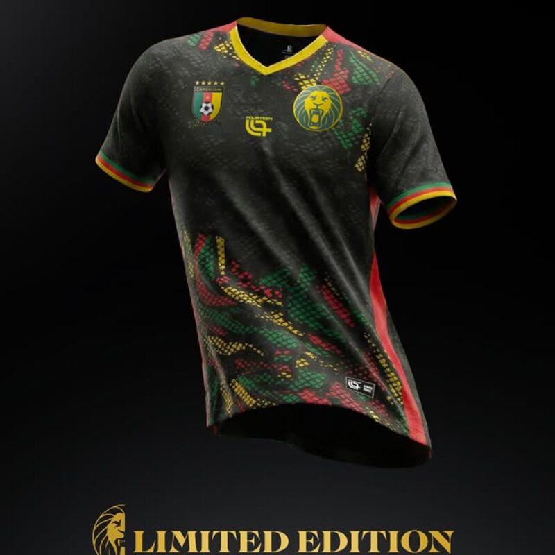Maillot Cameroun ONE Taille L - Vert, Manches Courtes, Neuf (Onana, Aboubakar, Milla)