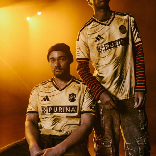 Image de l'article Tina Turner s’invite sur le nouveau maillot du St. Louis City SC !