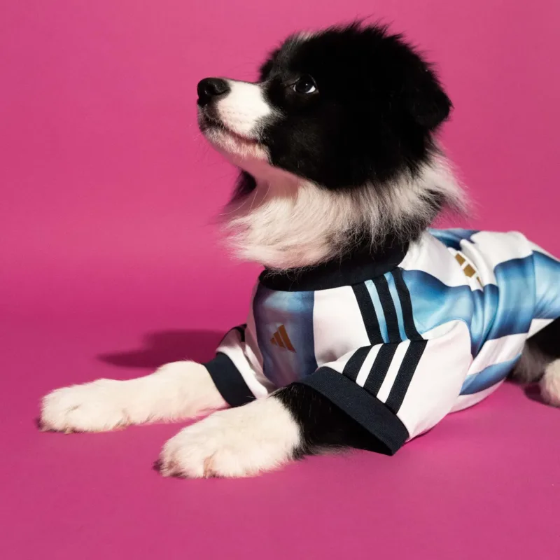 maillot foot adidas coupe du monde 2026 chiens