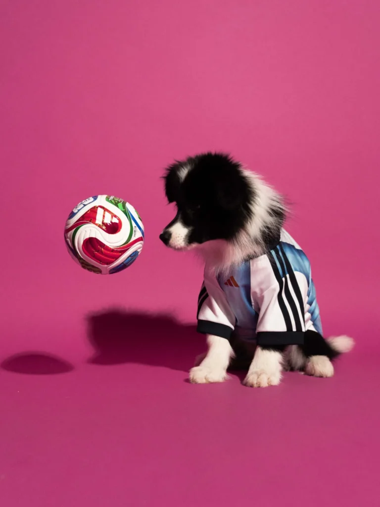maillot foot adidas coupe du monde 2026 chiens