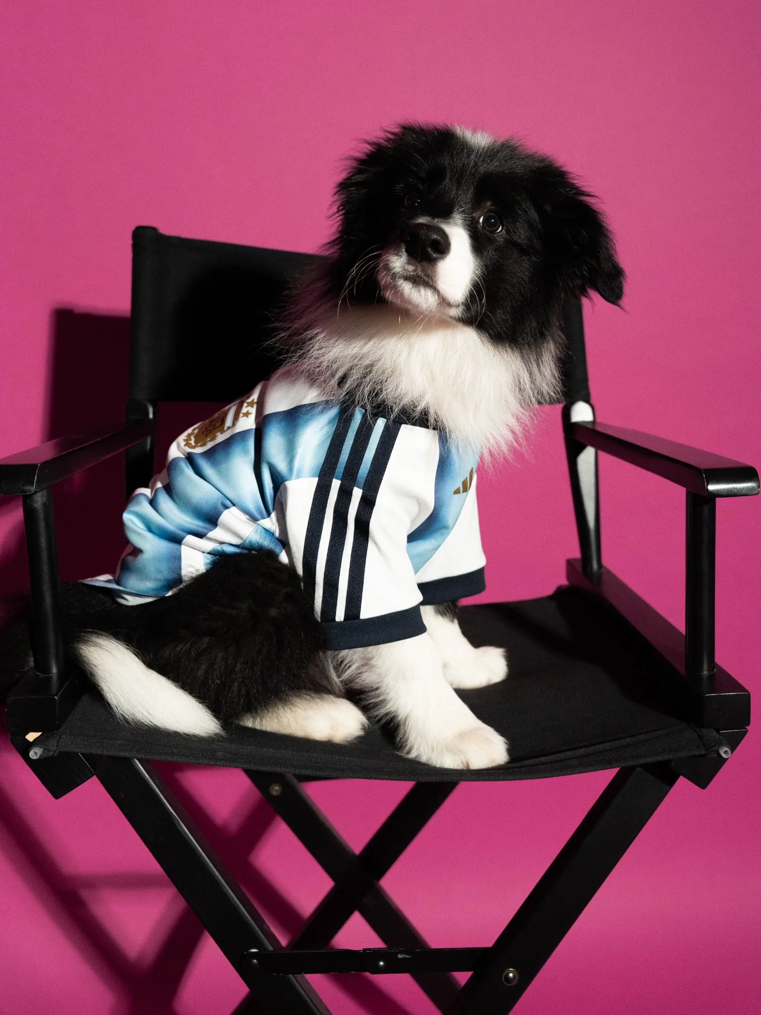 maillot foot adidas coupe du monde 2026 chiens