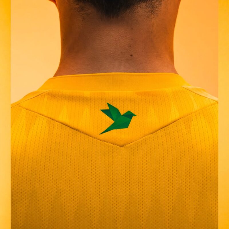 maillot fc nantes 2026 2027 macron domicile