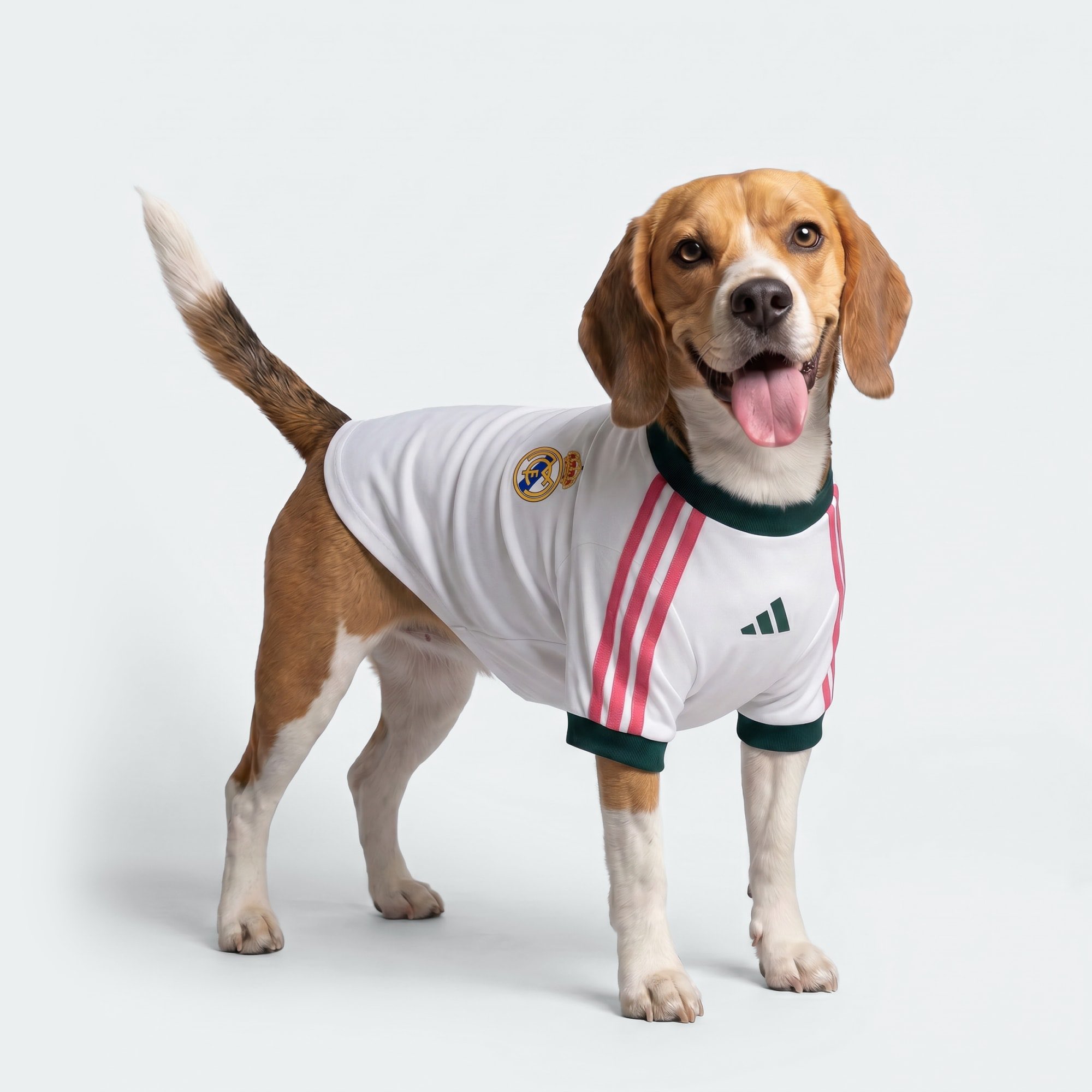 maillot foot chien real madrid