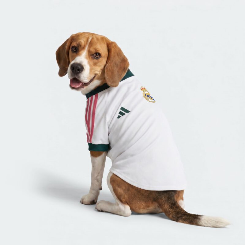maillot foot chien real madrid