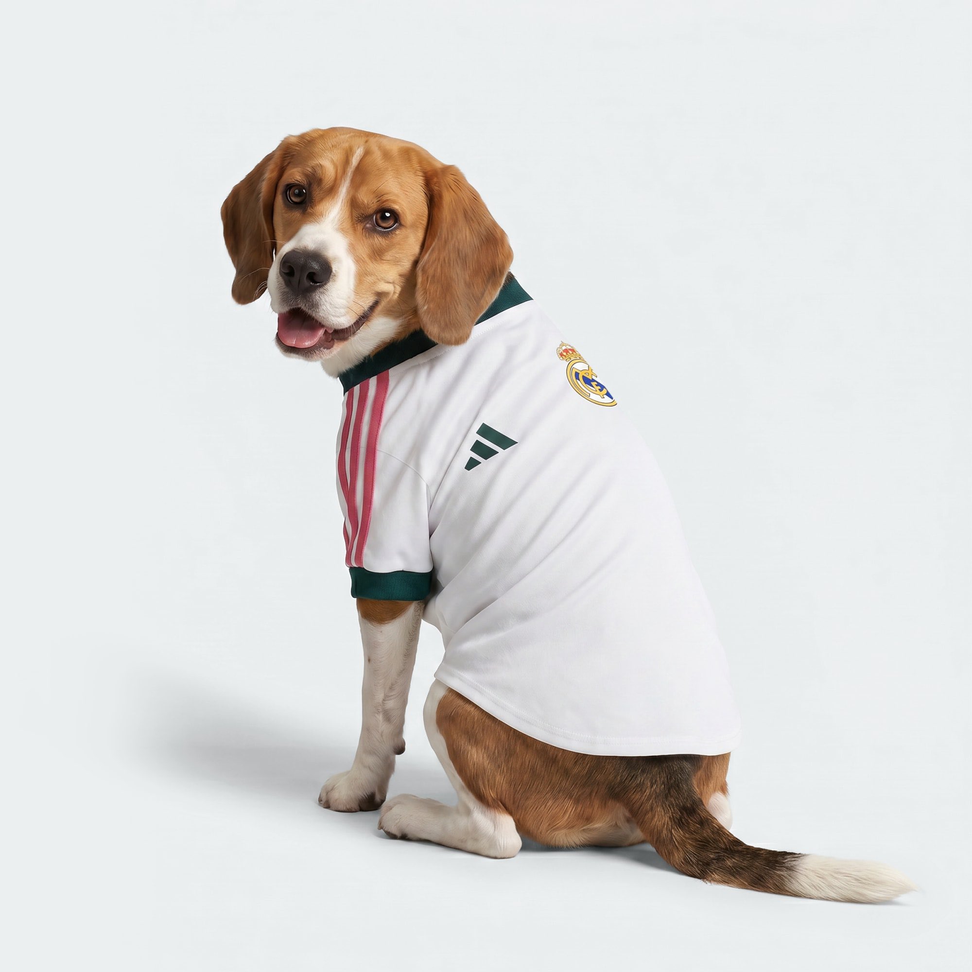 maillot foot chien real madrid