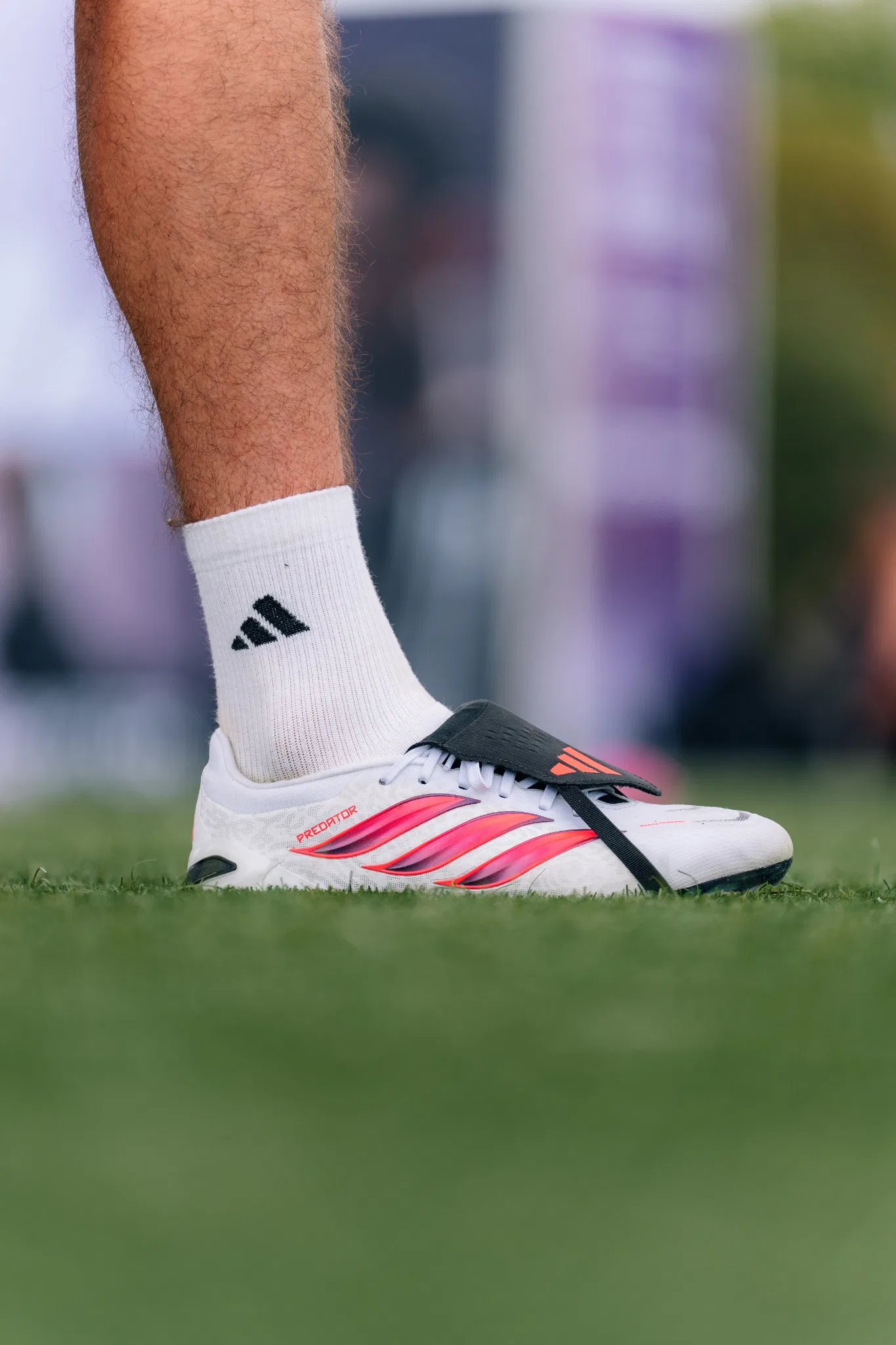 retour de test predator gamme pro 160 euros adidas